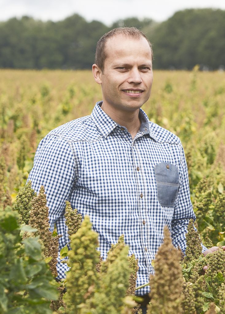 Quinoa