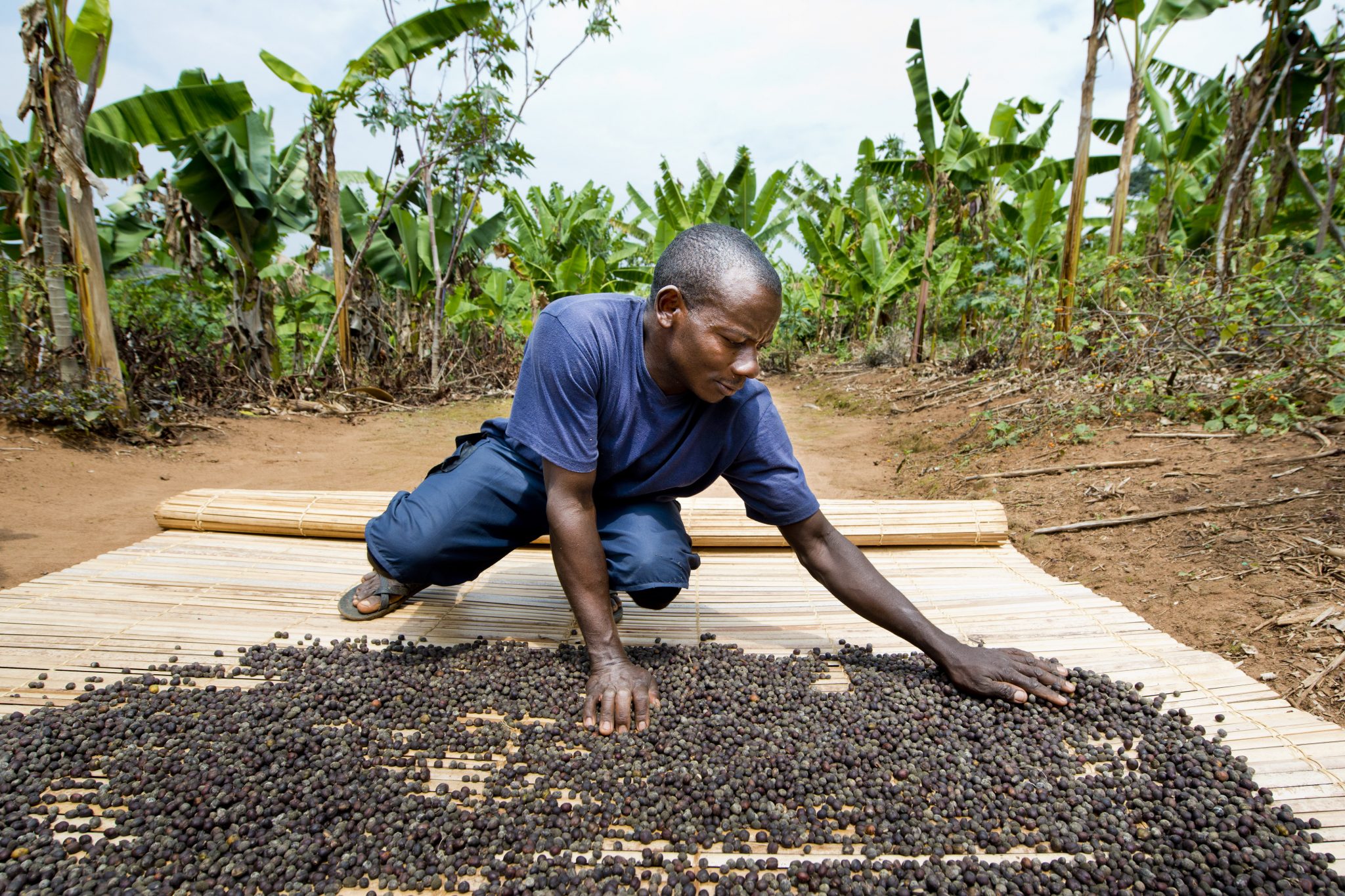Fairtrade Kaffee