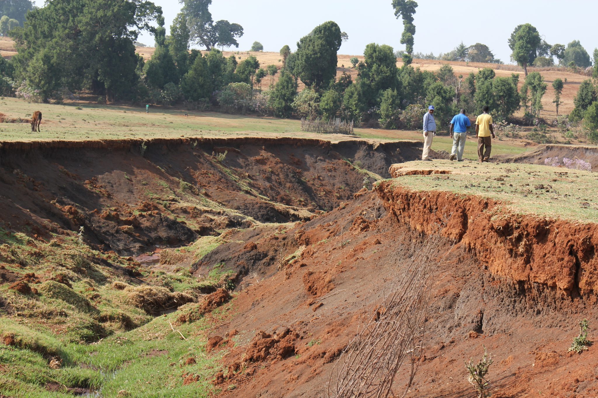 Erosion Wenn die Landschaft verschwindet