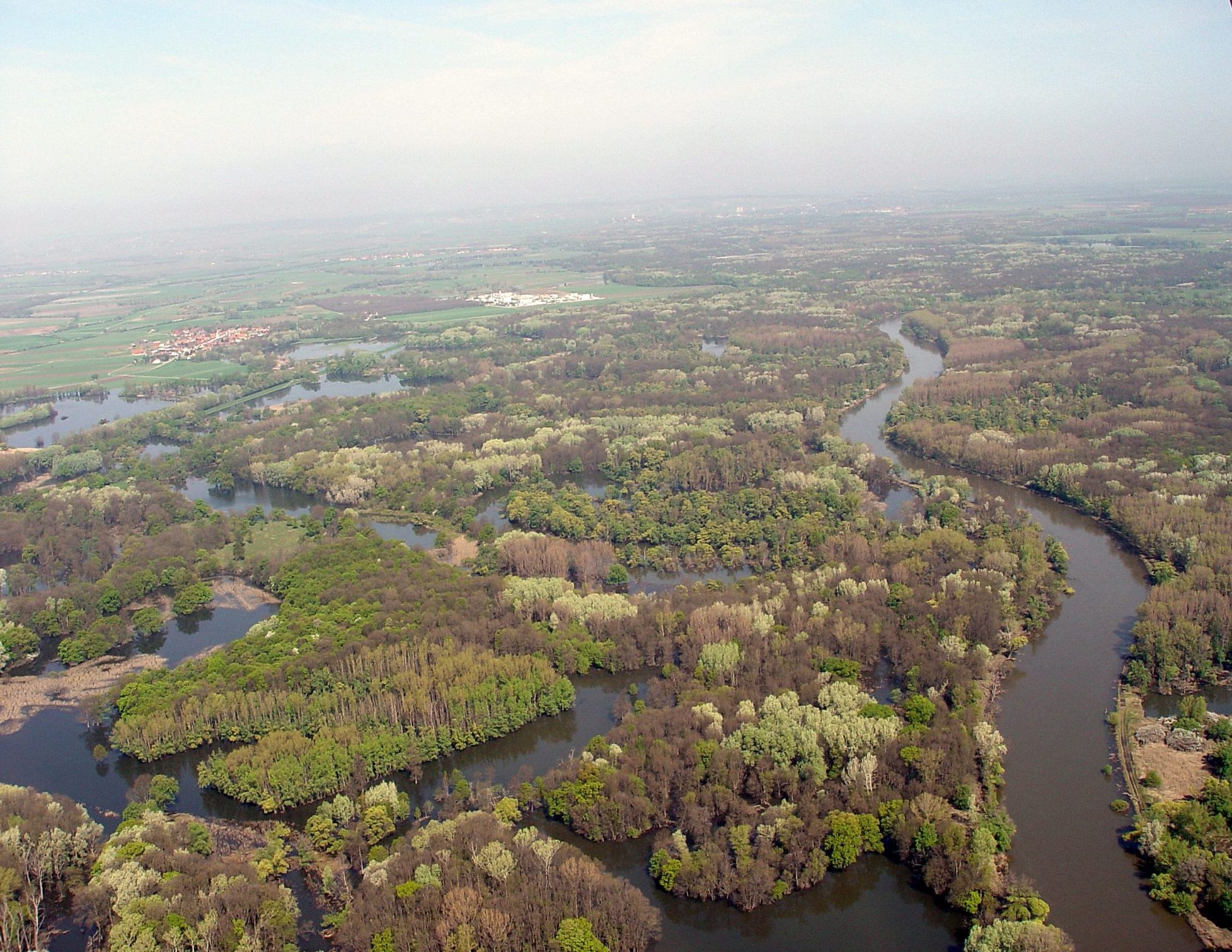 An der March unterwegs BIORAMA