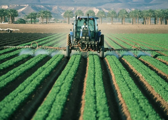 In Europa sind etw 500 verschiedene Pestizide zugelassen.