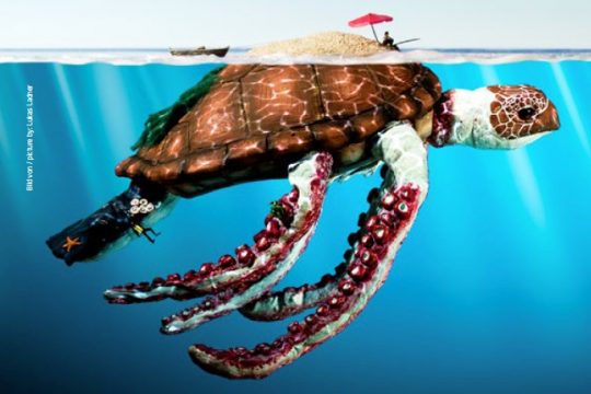 Das Innsbruck Nature Film Festival findet bereits seit 17 Jahren im Leokino in Innsbruck statt.