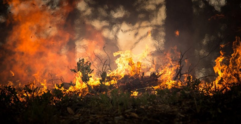 Mittlerweile ist die niederösterreichische Feuerweher schon routiniert darin, Waldbrände zu löschen.