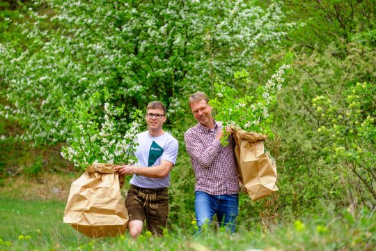 Die Zutaten für das Waldbier werden direkt im Wald geerntet.