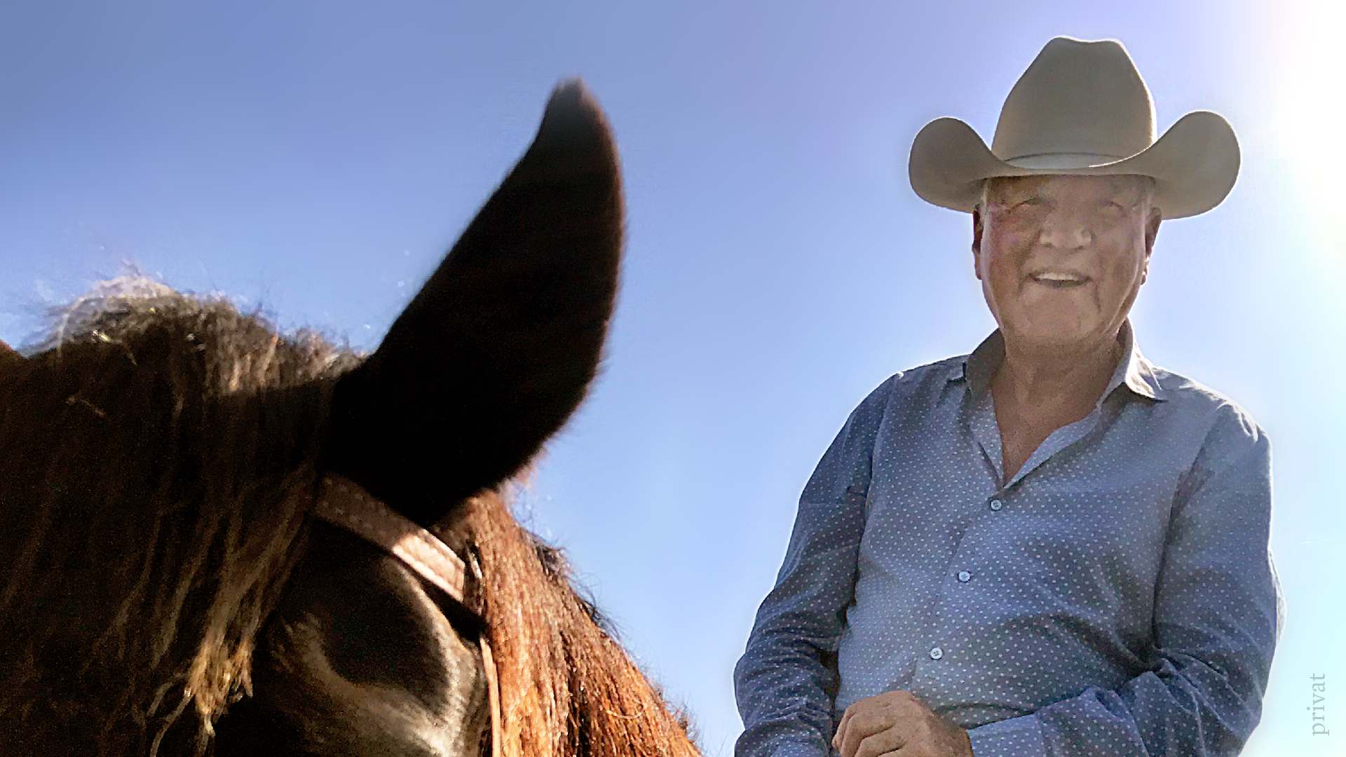 Frankie Cowboy: Frank Stronach über seine Bio-Farm in Florida | BIORAMA