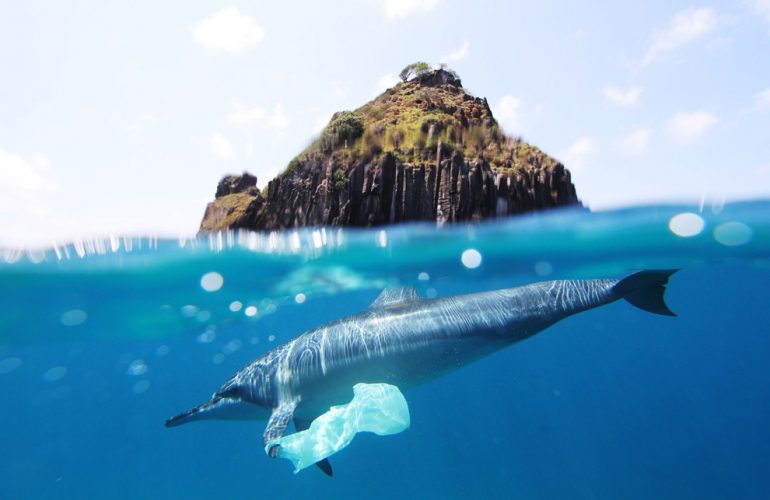 Mikroplastik entsteht durch den Zerfall von größerem Plastik.