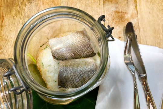 Reinanken haben viele Namen: Coregonus, Felchen, Renken, Maränen.