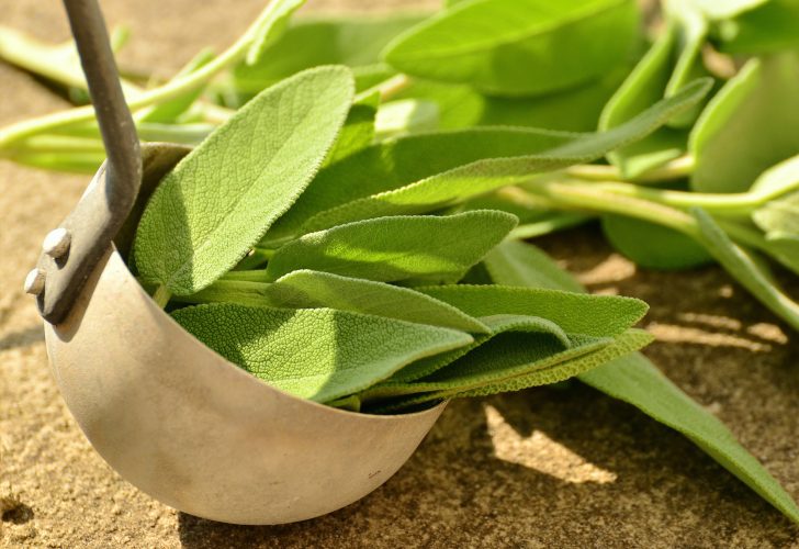 Salbei enthält Gerbstoffe, Magnesium und Vitamin B und hilft dabei, das Schwitzen zu mindern.