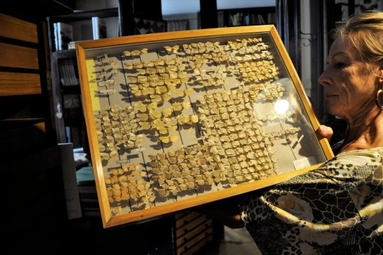 Das Geschäft Entowinkler gibt es seit 1906.