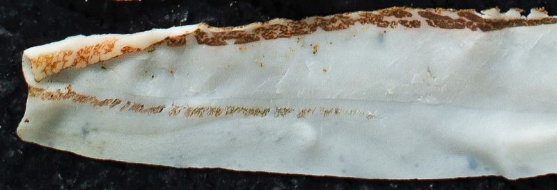 Guten Largo bekommt man von Zotter, Simandl oder der Bio-Noah-Manufaktur.