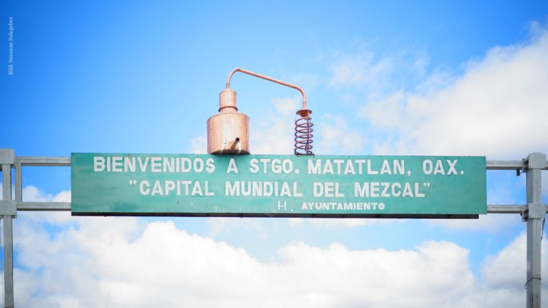 Während Tequila in großen Mengen industriell hergestellt wird, wird Mezcal noch in Handarbeit hergestellt.