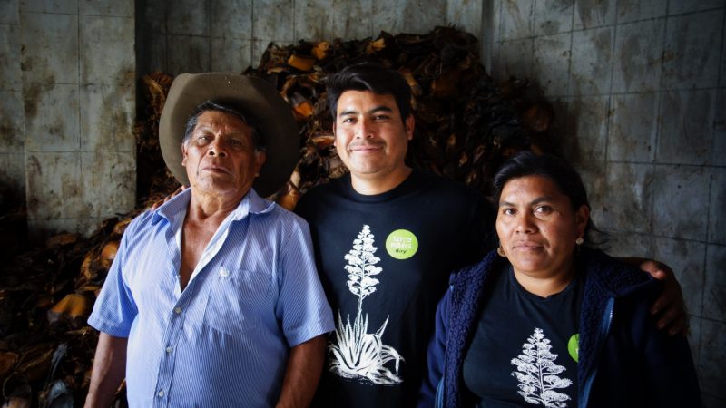 Vor allem viele Familien indigener Abstammung stellen Mezcal her.