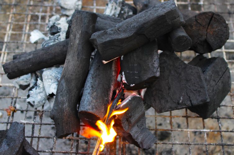 Am schädlichsten für die Umwelt ist die Verwendung vom Einweg-Aluschalengrill mit Holzkohle bei einer Party.