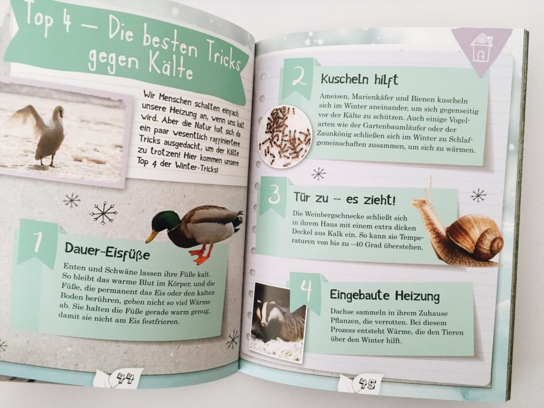 ? Eich: Naturforscher im Winter. Ars Edition 2018.