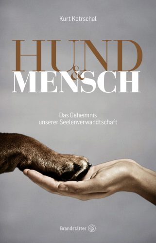 Geschichte einer Freundschaft: Vom Wolf zum Hund zum Menschen﻿