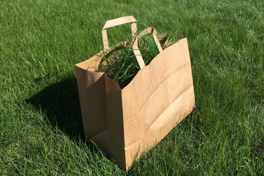 Die Erwartungen von Konsumenten an »biologisch abbaubare« und »kompostierbare« Verpackungen decken sich meist nicht mit der Realität. Bild: tatjana_d / pixabay.