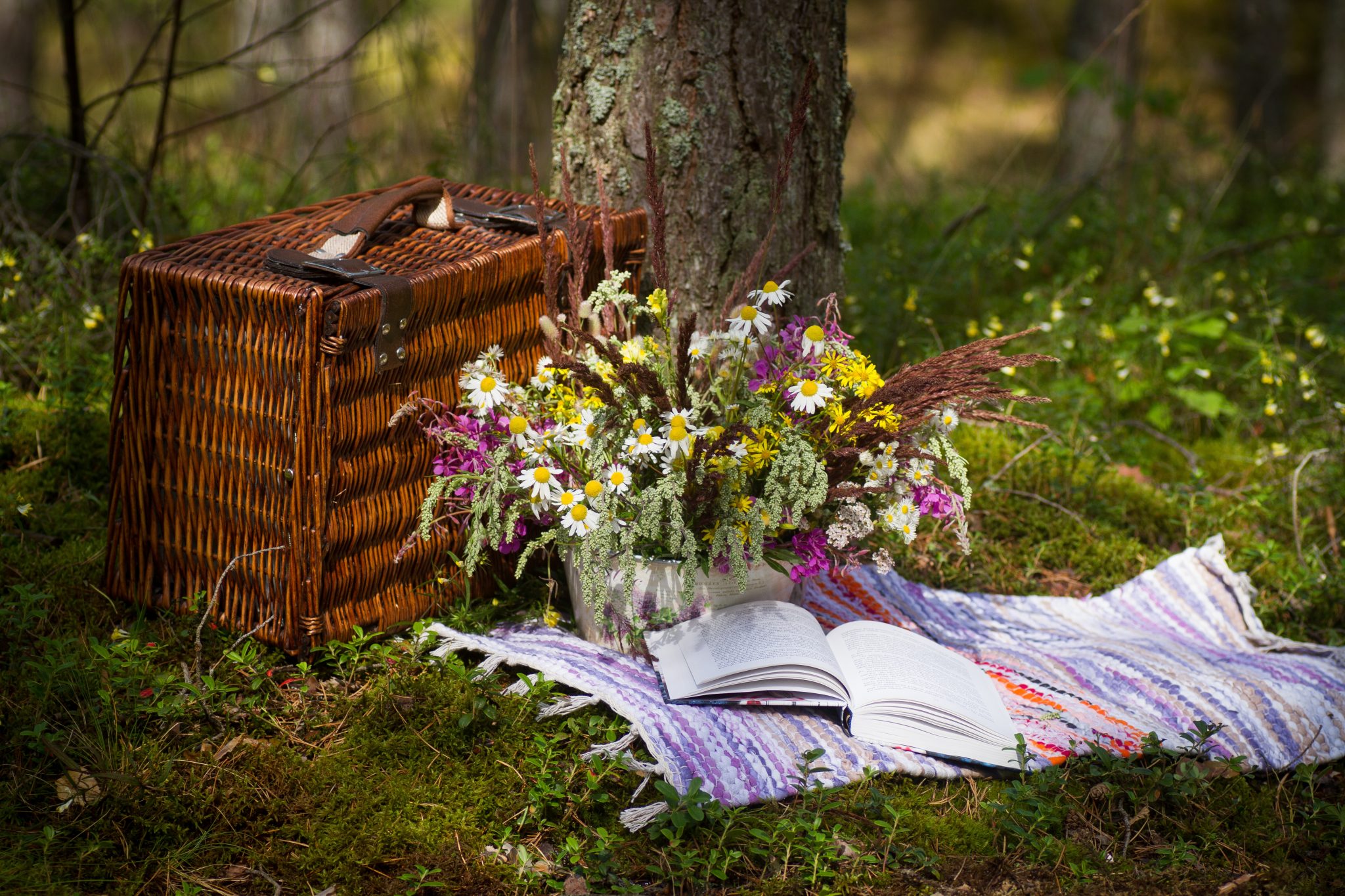Bild: KristineLejniece / www.pixabay.com