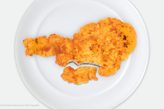 Eine Reduktion von Fleischportionen um wenige Gramm in der Gastronomie würde der Umwelt zugute kommen.