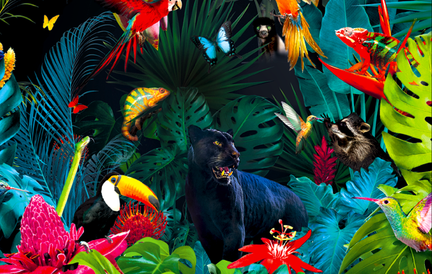 Biodiversität - BIORAMA