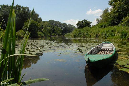 Der Altarm der March in Markthof mit grüner Umgebung und einem Holzboot.