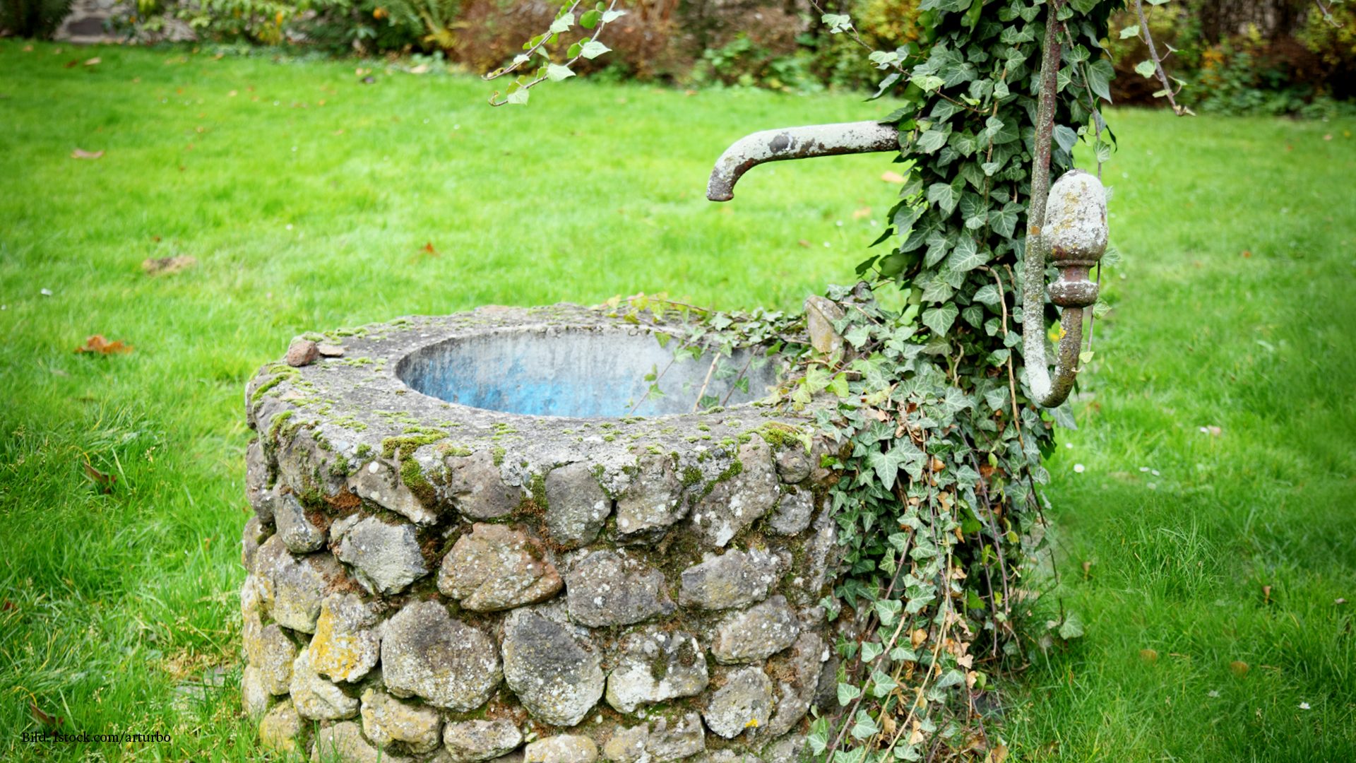 Brunnen