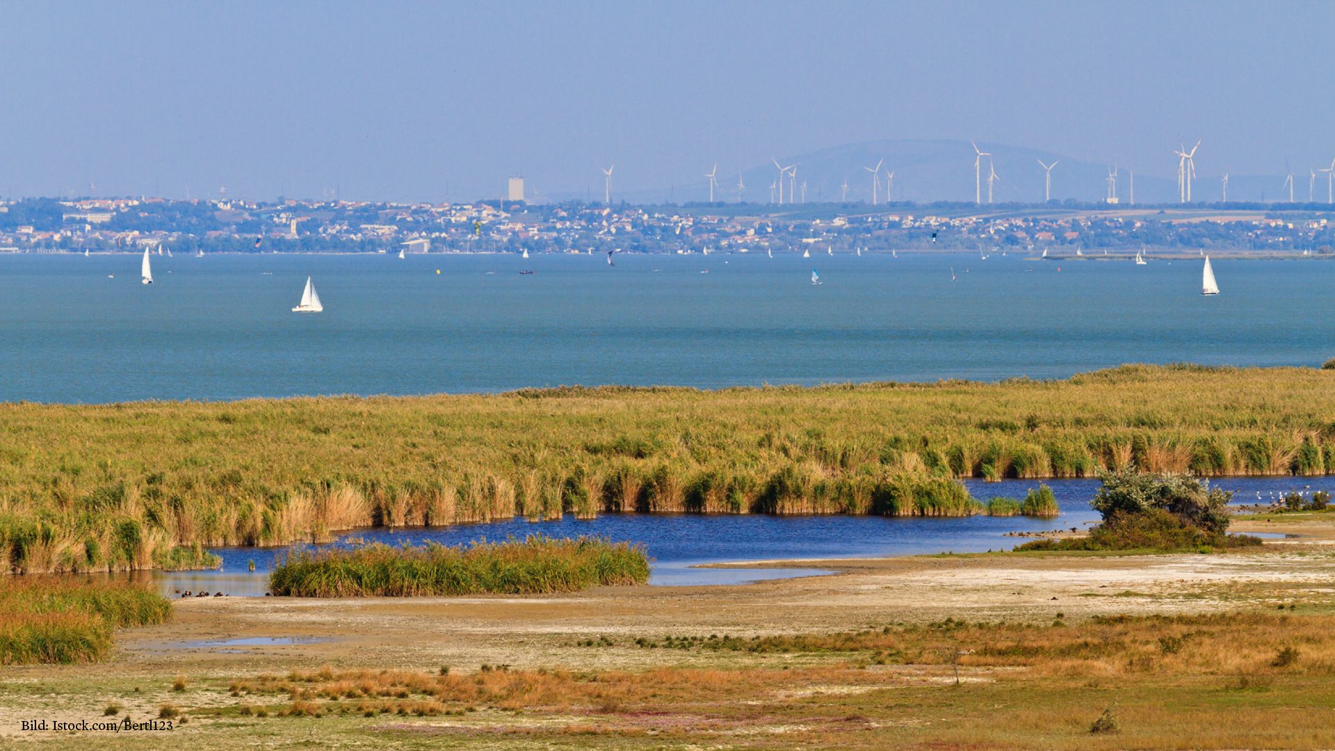 Der Neusiedlersee, umgeben von Schilf