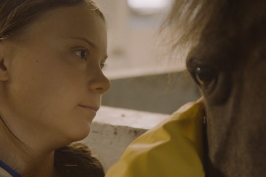 © Stadtkino Filmverleih