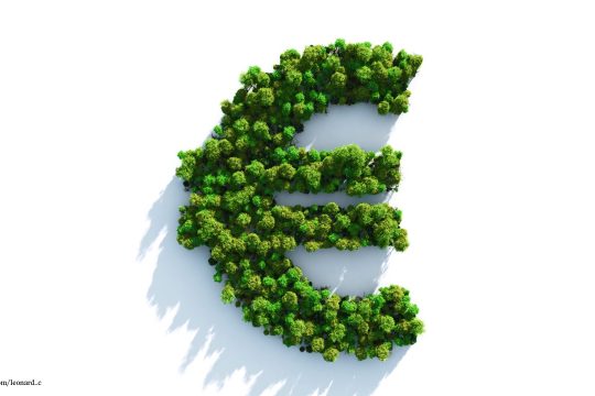 Ein Eurozeichen aus Bäumen
