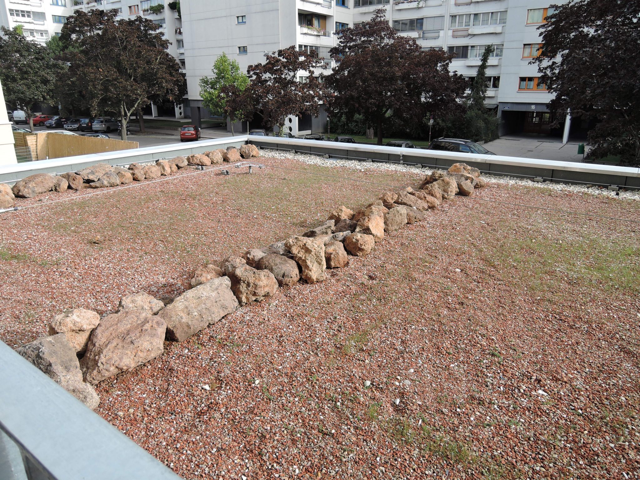 Lavagestein am Dach schafft Strukturen und einen Lebensraum für Insekten. (Foto: Landschaftsarchitektur Batik)