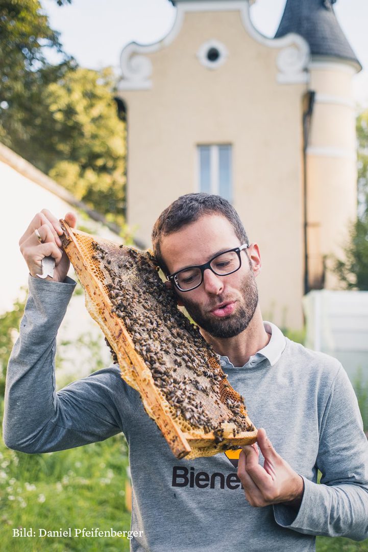 Daniel Pfeifenberger, Vorsitzender des Vereins Bienenlieb.