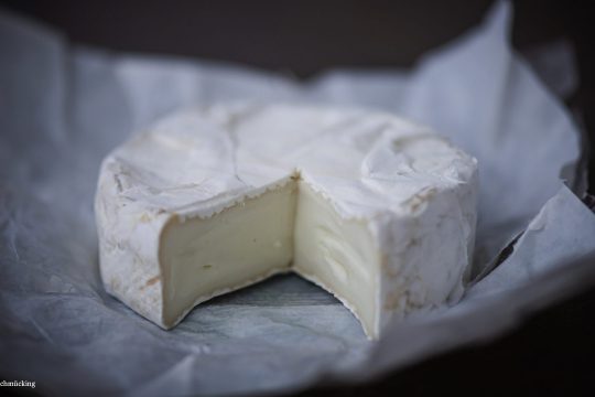 Camembert