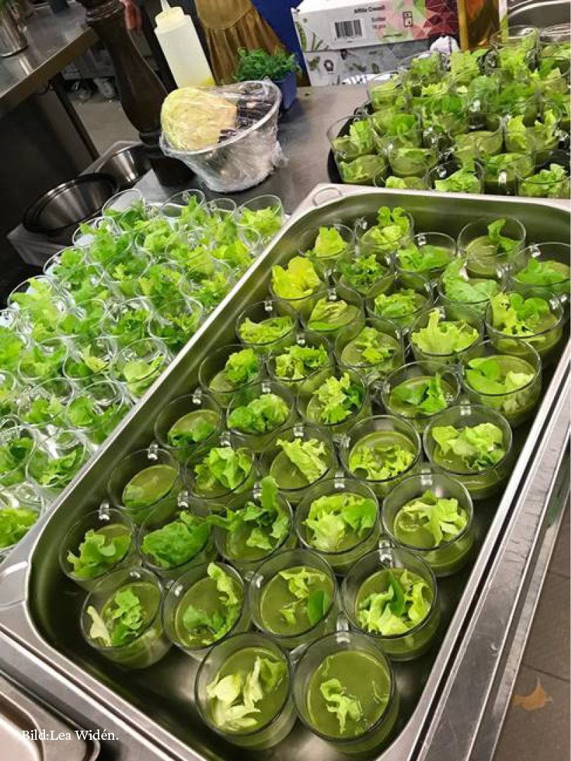 Salat in Suppenform