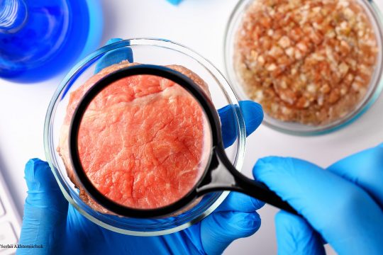 Fleisch aus dem Labor