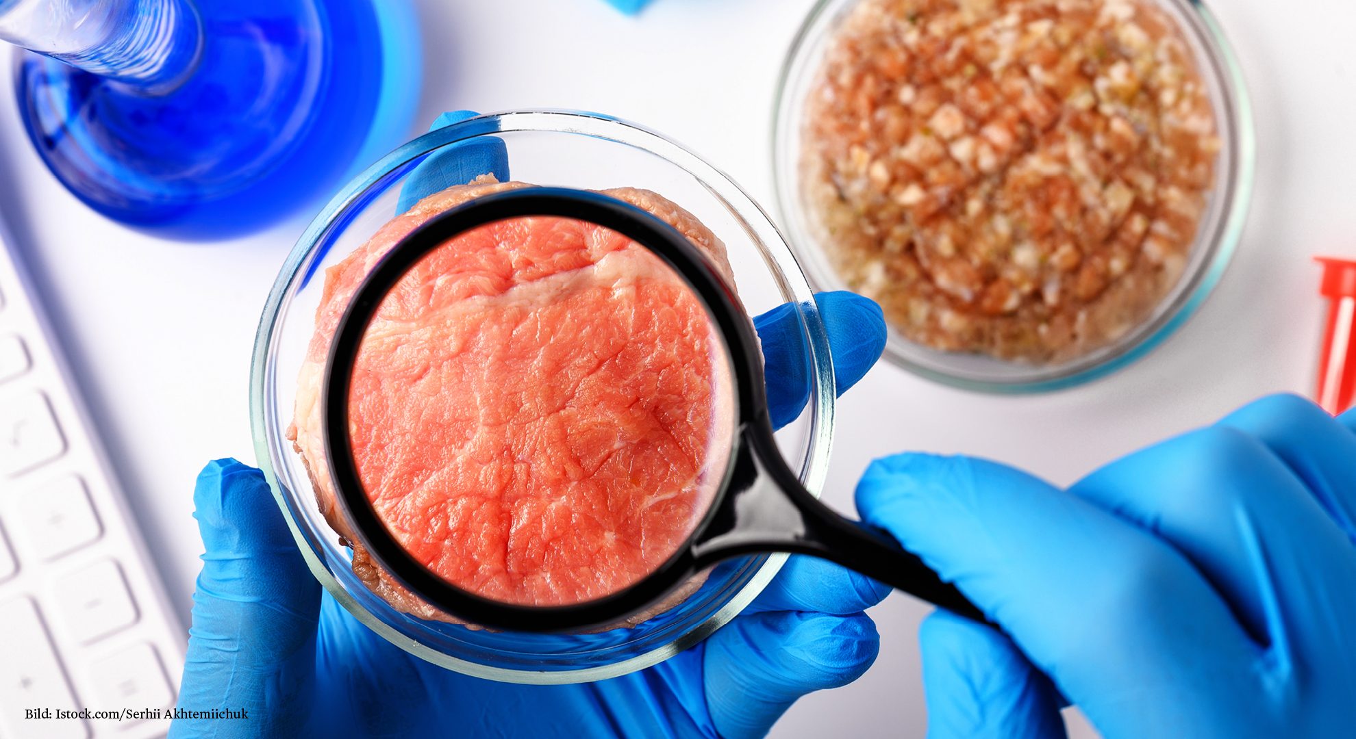 Fleisch aus dem Labor