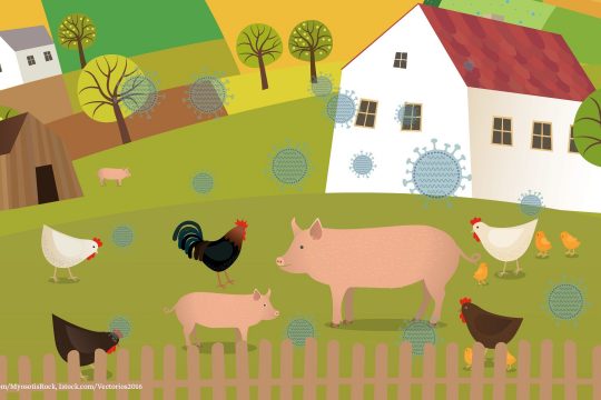 Eine illustrierte Farm