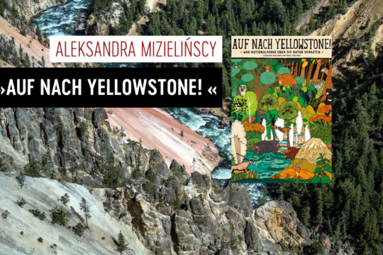 Yellowstone Cover
