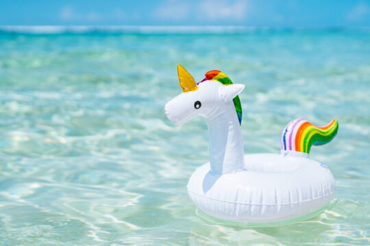 Schwimmtier im Wasser