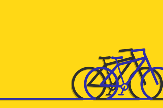 Radverkehr in Niederösterreich Grafik