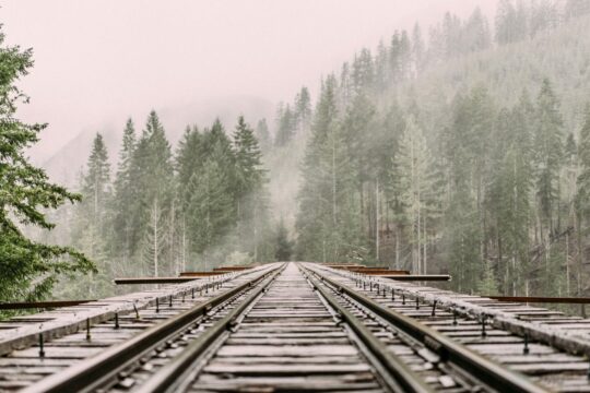 Bild: unsplash/austin smart