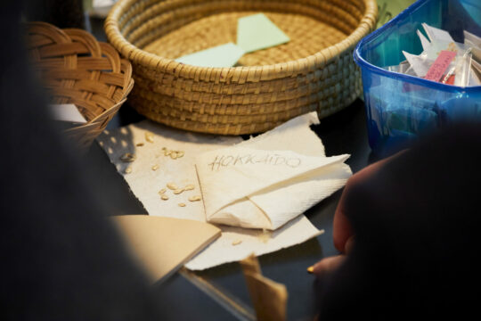 Samen tauschen am Saatgutfest der Arche Noah - am 25. Februar 2023 in der VHS Meidling (Bild: Arche Noah / Rupert Pessl)