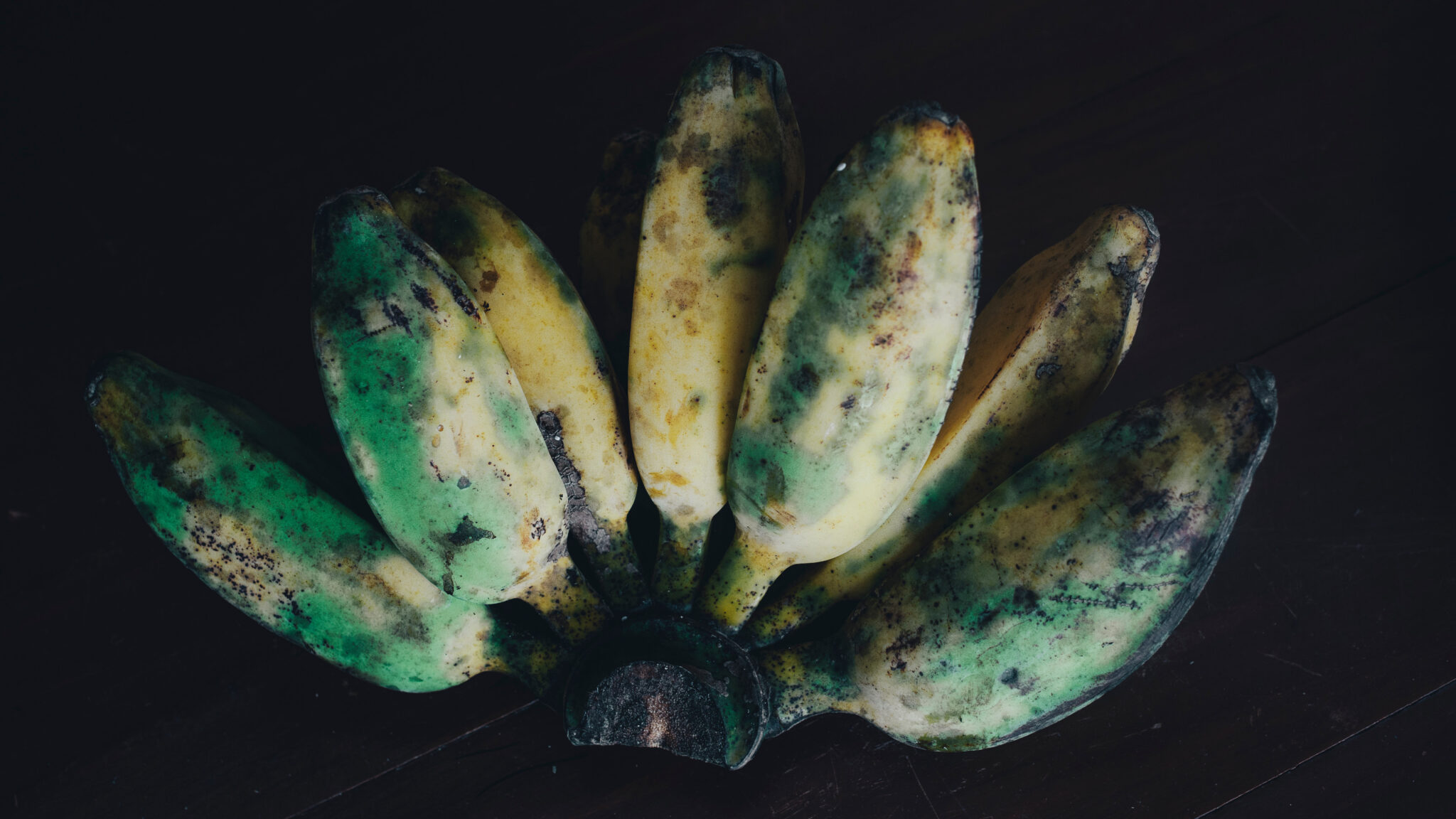Vor schwarzem Hintergrund sind Bananen der Sorte Kluthuk Batu zu sehen.