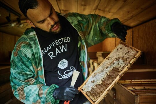 Sizzerbees bei seinen Bienen.