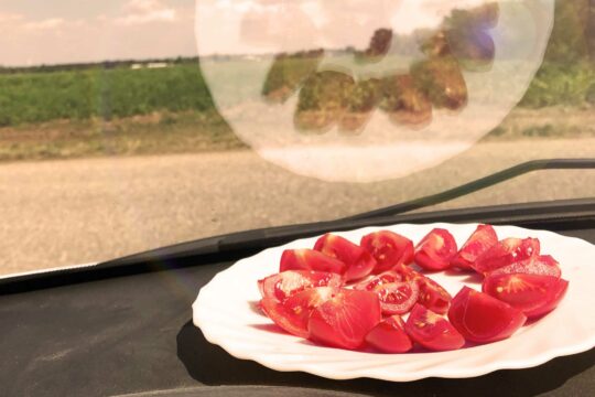 Ein Teller mit Tomaten in Thomas Webers Auto.