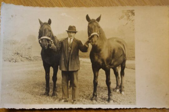 Zu sehen ist ein altes Foto, auf dem eine Person zwischen zwei Pferden steht.