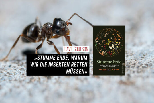 Dave Goulson, »Stumme Erde. Warum wir die Insekten retten müssen.«, Carl Hanser Verlag, 2022.