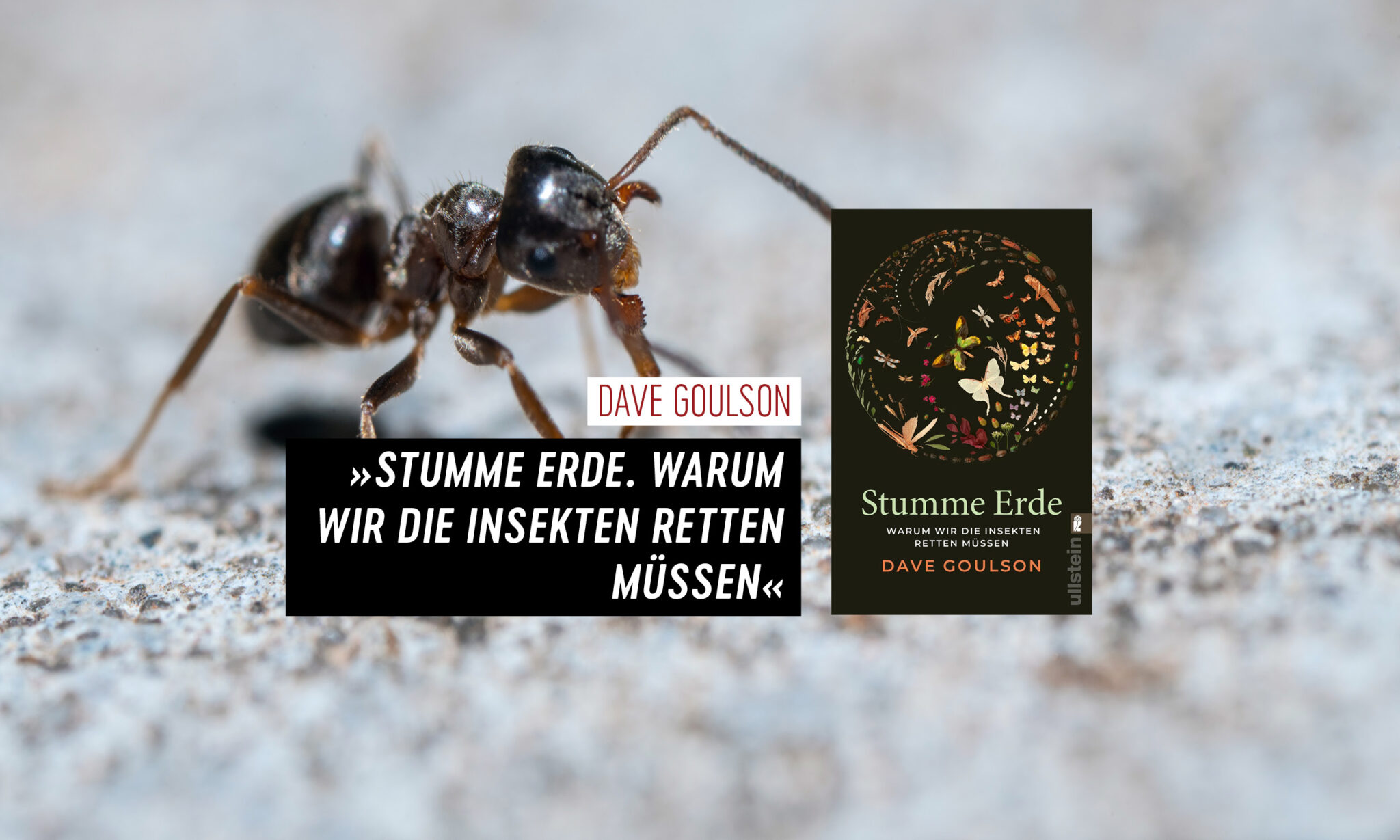 Dave Goulson, »Stumme Erde. Warum wir die Insekten retten müssen.«, Carl Hanser Verlag, 2022.