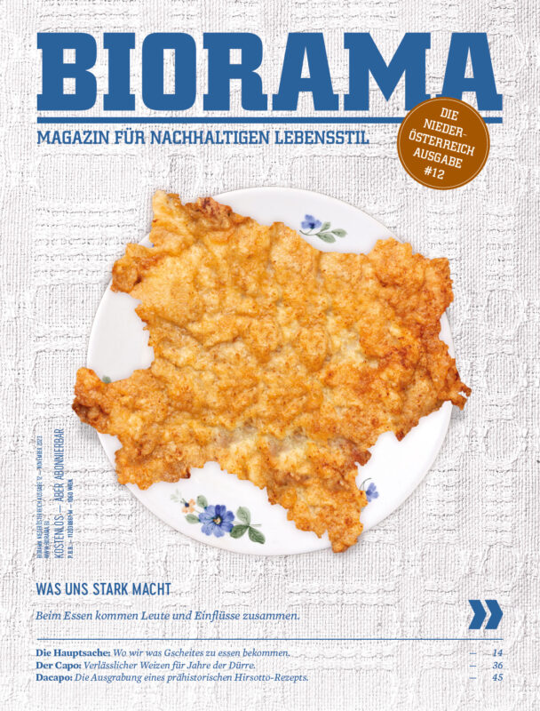 Cover des Magazins BIORAMA NIEDERÖSTERREICH 12