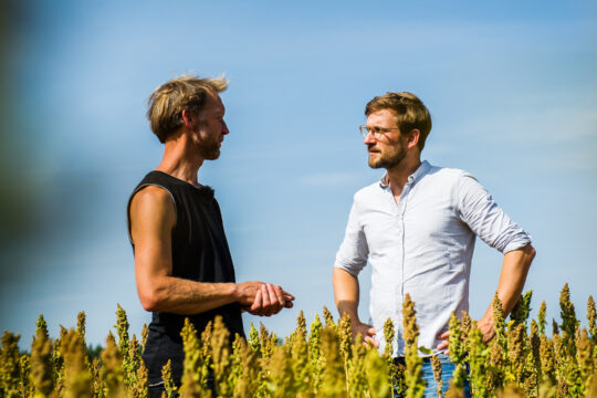 Philip Luthardt spricht mit einem regionalen Biobauern in dessen Quinoafeld.