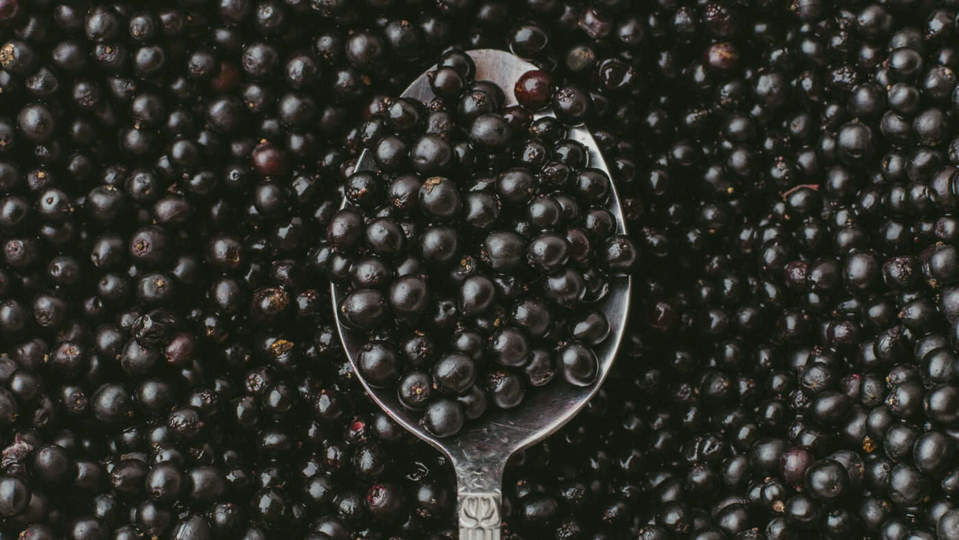 Holunderbeeren auf einem silbernem Löffel.