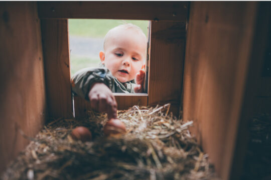 Ein Kind greift durch eine Luke in der ein Ei zu sehen ist.